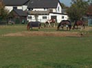 5B Ranch